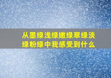 从墨绿浅绿嫩绿翠绿淡绿粉绿中我感受到什么