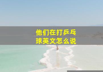 他们在打乒乓球英文怎么说