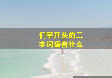 们字开头的二字词语有什么