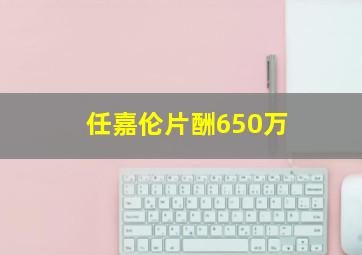 任嘉伦片酬650万