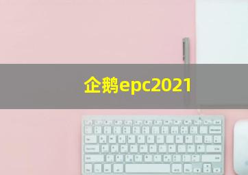 企鹅epc2021