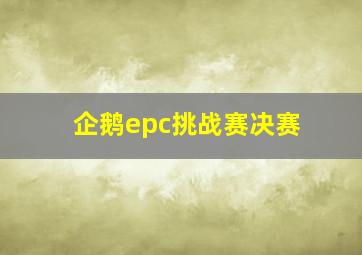 企鹅epc挑战赛决赛