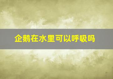 企鹅在水里可以呼吸吗