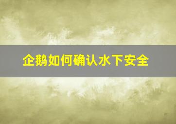 企鹅如何确认水下安全