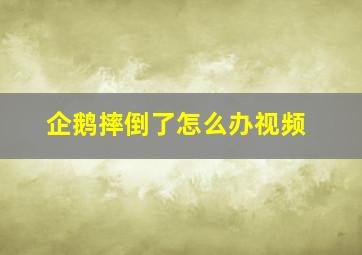 企鹅摔倒了怎么办视频