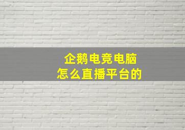 企鹅电竞电脑怎么直播平台的