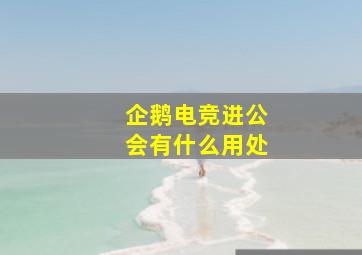 企鹅电竞进公会有什么用处