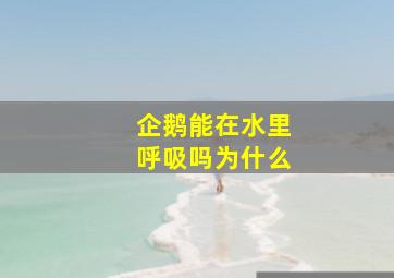 企鹅能在水里呼吸吗为什么