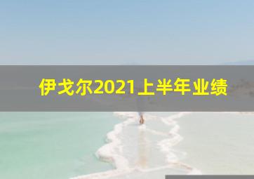 伊戈尔2021上半年业绩