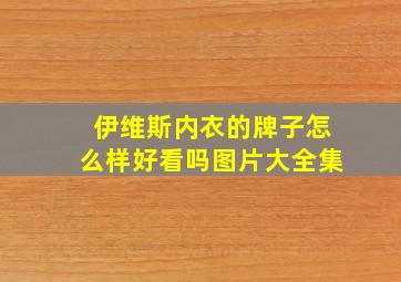 伊维斯内衣的牌子怎么样好看吗图片大全集