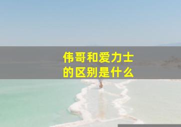 伟哥和爱力士的区别是什么