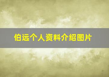 伯远个人资料介绍图片