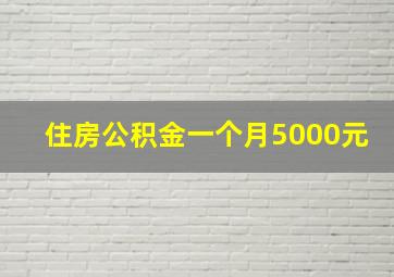 住房公积金一个月5000元