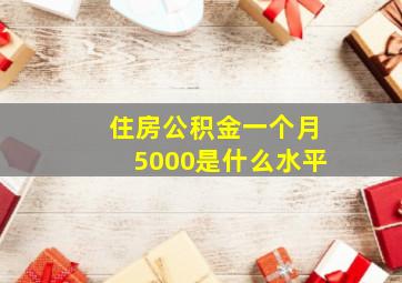 住房公积金一个月5000是什么水平