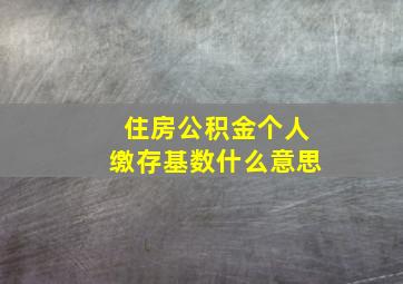 住房公积金个人缴存基数什么意思