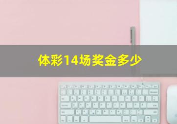 体彩14场奖金多少