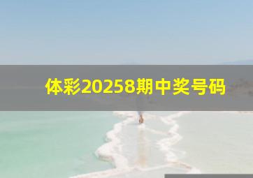 体彩20258期中奖号码