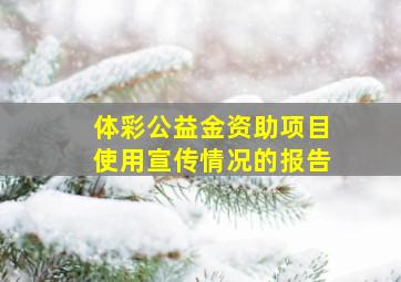 体彩公益金资助项目使用宣传情况的报告