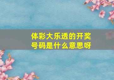 体彩大乐透的开奖号码是什么意思呀