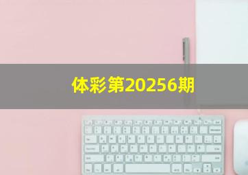 体彩第20256期