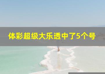 体彩超级大乐透中了5个号