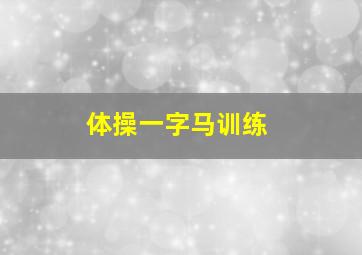 体操一字马训练