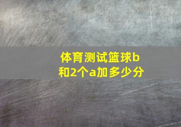 体育测试篮球b和2个a加多少分