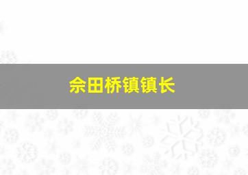 佘田桥镇镇长