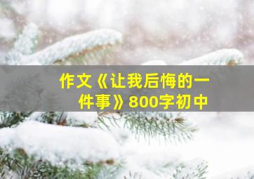 作文《让我后悔的一件事》800字初中