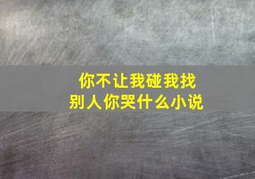 你不让我碰我找别人你哭什么小说