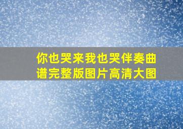 你也哭来我也哭伴奏曲谱完整版图片高清大图