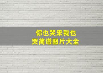 你也哭来我也哭简谱图片大全