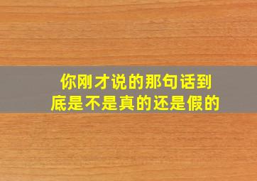 你刚才说的那句话到底是不是真的还是假的