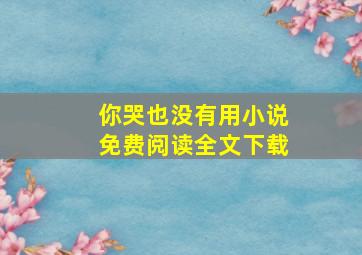 你哭也没有用小说免费阅读全文下载