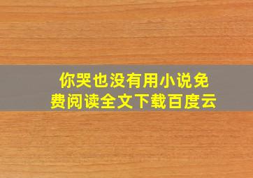 你哭也没有用小说免费阅读全文下载百度云