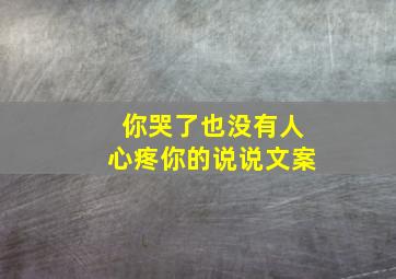 你哭了也没有人心疼你的说说文案