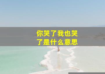 你哭了我也哭了是什么意思