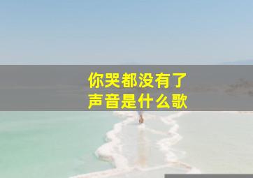 你哭都没有了声音是什么歌