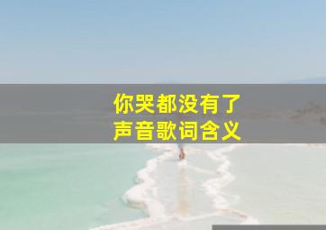 你哭都没有了声音歌词含义