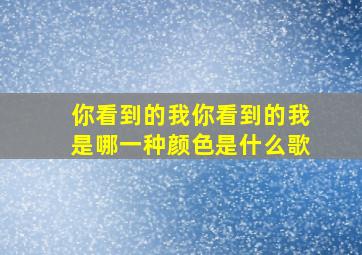 你看到的我你看到的我是哪一种颜色是什么歌