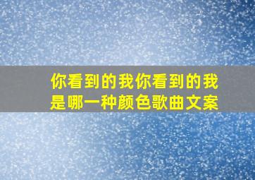 你看到的我你看到的我是哪一种颜色歌曲文案