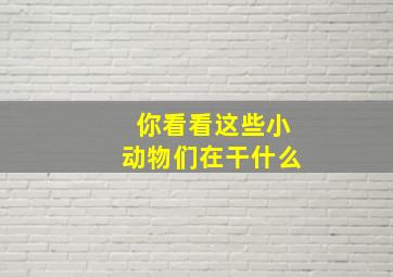 你看看这些小动物们在干什么