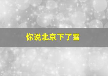 你说北京下了雪