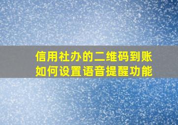 信用社办的二维码到账如何设置语音提醒功能