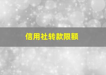 信用社转款限额