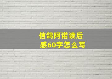 信鸽阿诺读后感60字怎么写