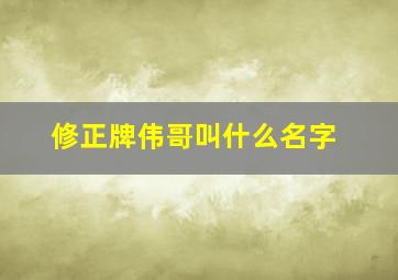 修正牌伟哥叫什么名字