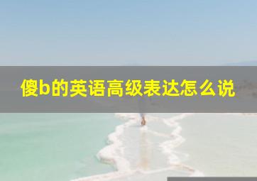 傻b的英语高级表达怎么说