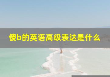 傻b的英语高级表达是什么