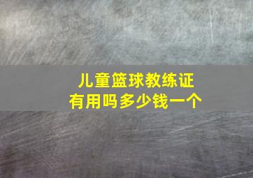 儿童篮球教练证有用吗多少钱一个